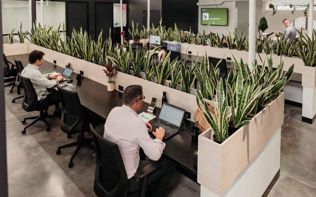 How To Make Your Business More Sustainable & Eco-Friendly